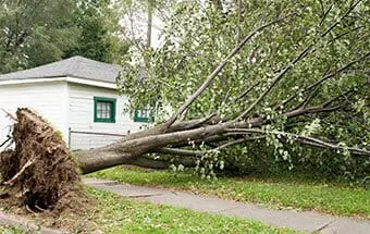 Storm Cleanup Services Williamson County IL
