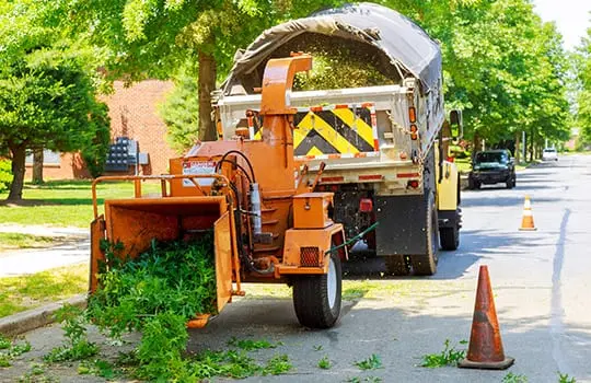 Lot Cleaning Williamson County Illinois