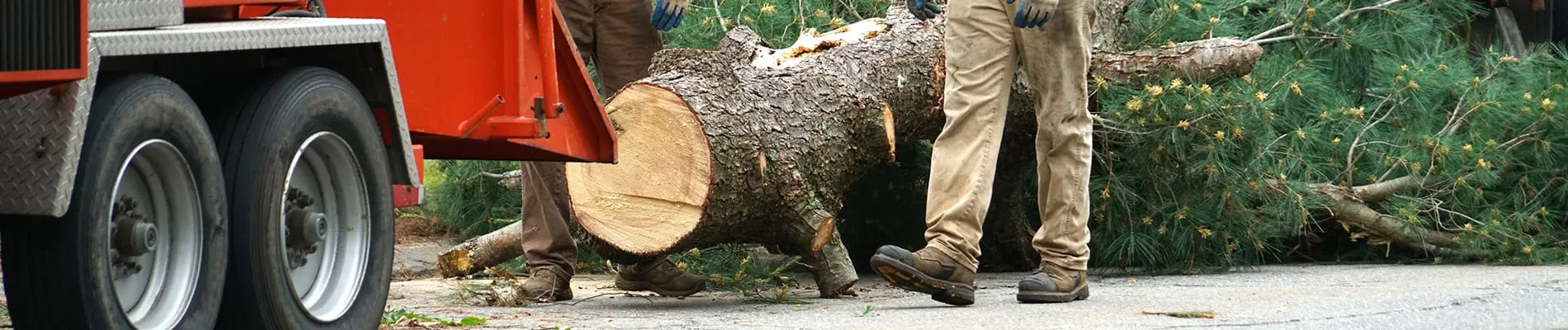 Tree Care Service Herrin Illinois