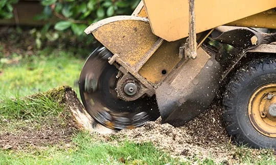 Stump Grinding Herrin IL