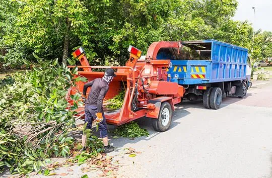 Tree Removal West Frankfort, IL