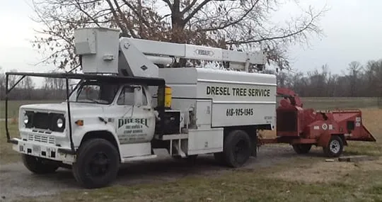 Tree Service Marion Illinois