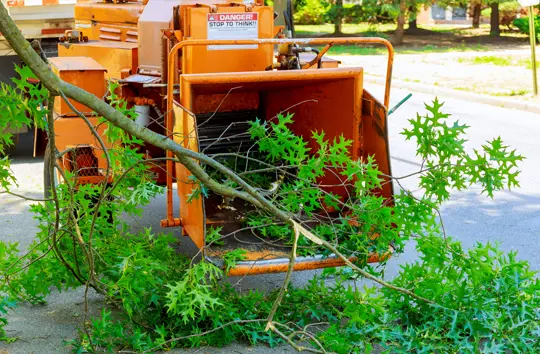 Tree Removal West Frankfort, IL