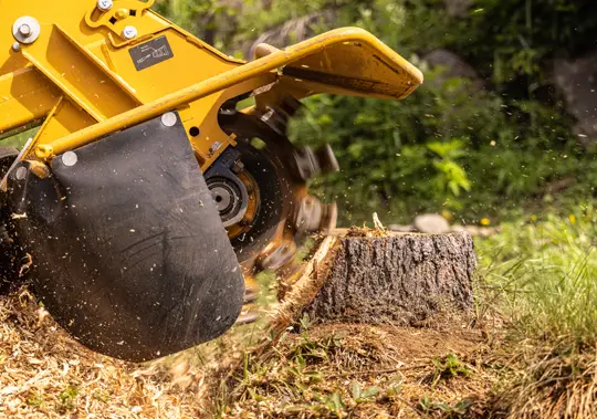 Stump Removal West Frankfort, IL